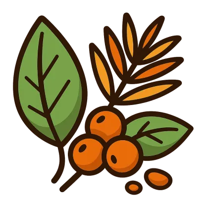 Jihoamerické byliny