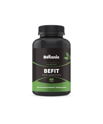 BeFit