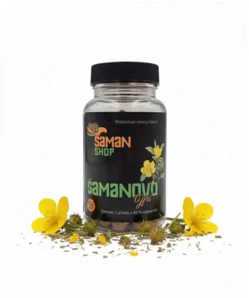 Šamanovo týpí